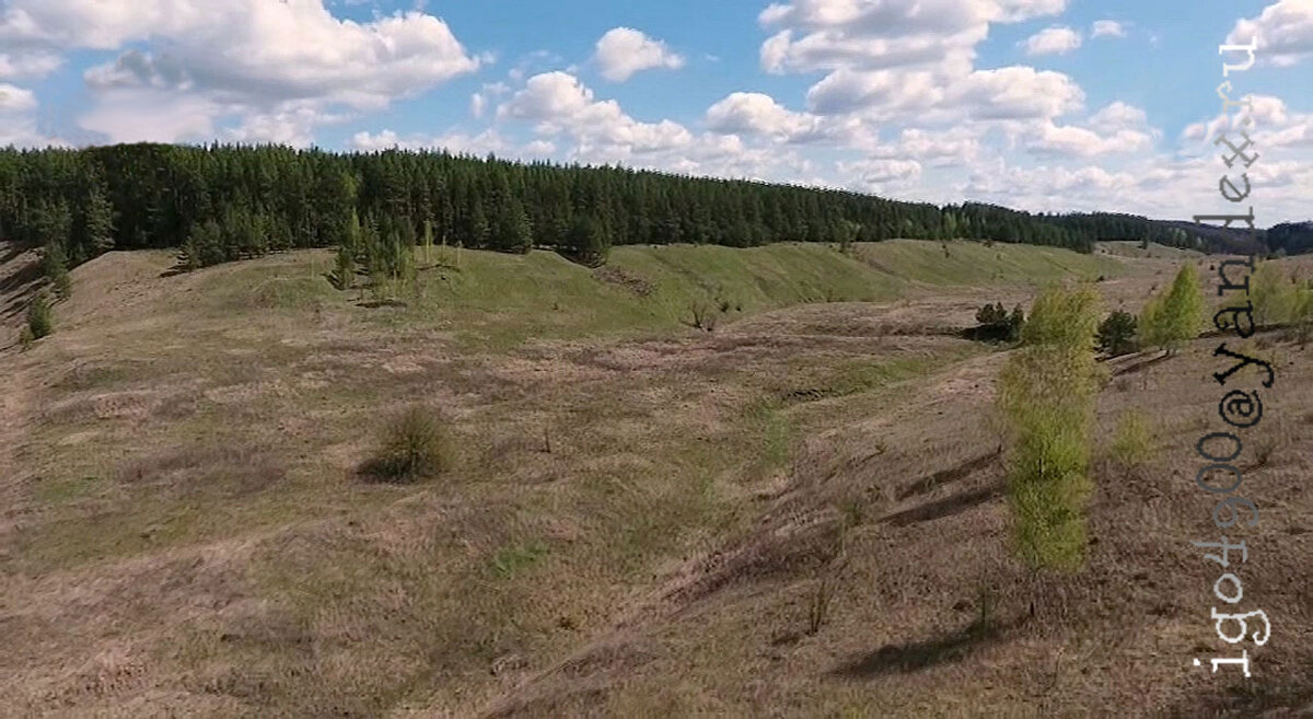 Тульский  пйзаж  __Летом... - Игорь Пляскин