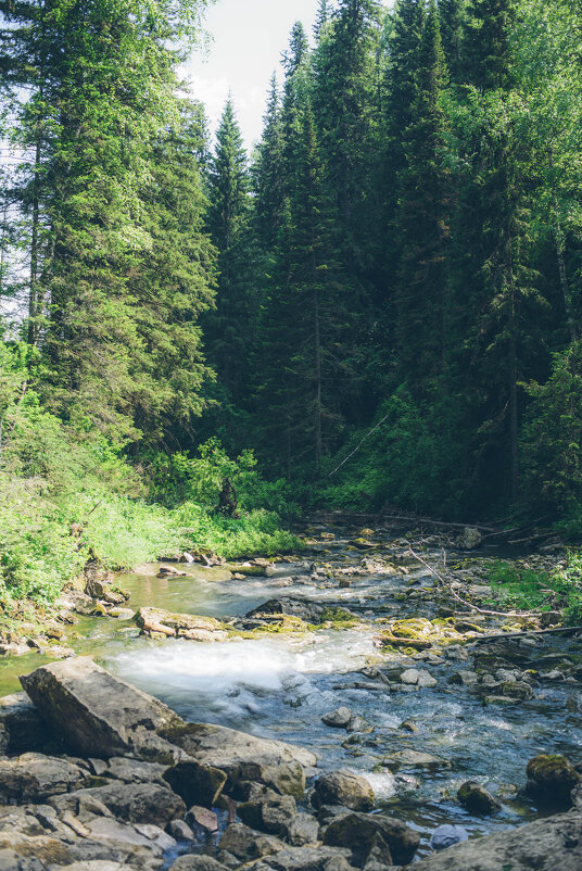 Горная речка - Михаил Соколов