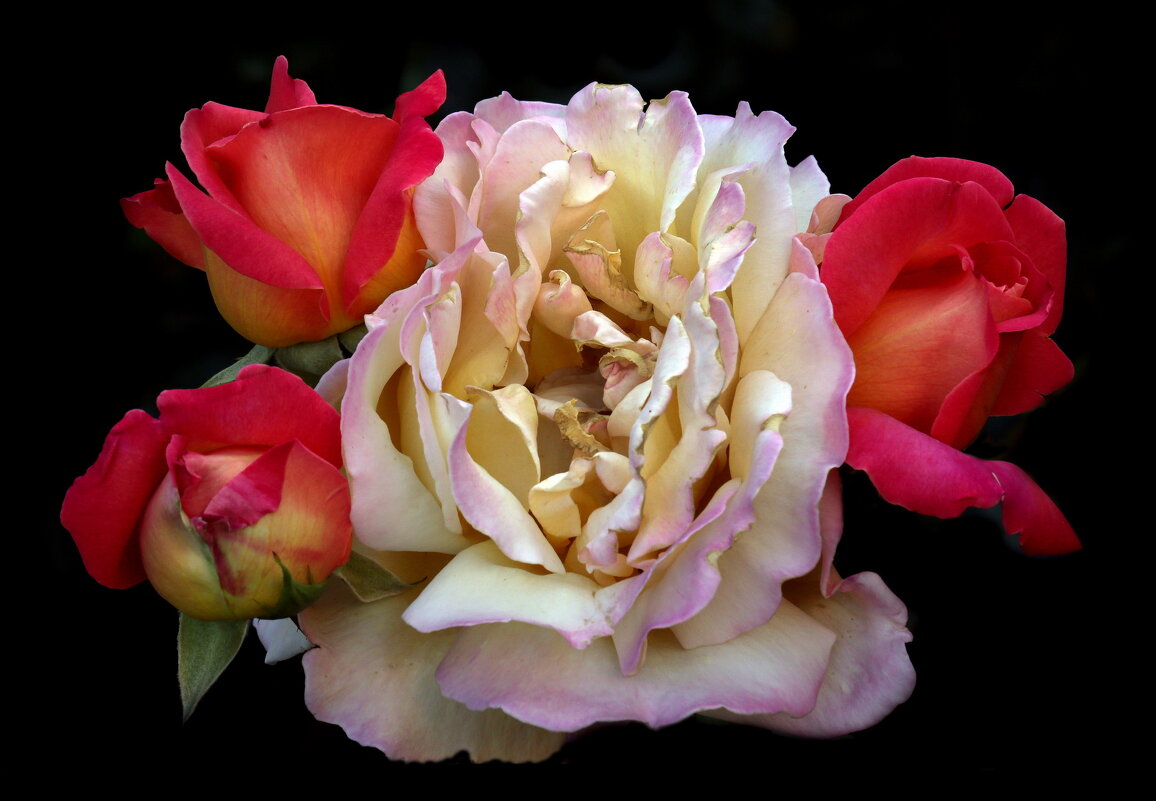 ВДНХ 10 июля - Михаил Бибичков