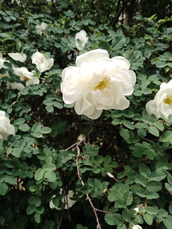 лето 2025 - Анастасия Малыгина