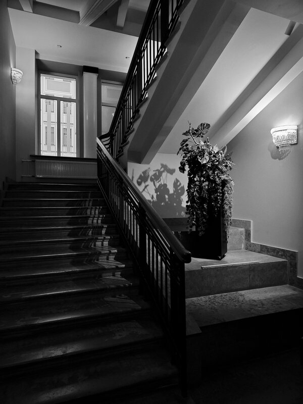 ... - Станислав Мутовин