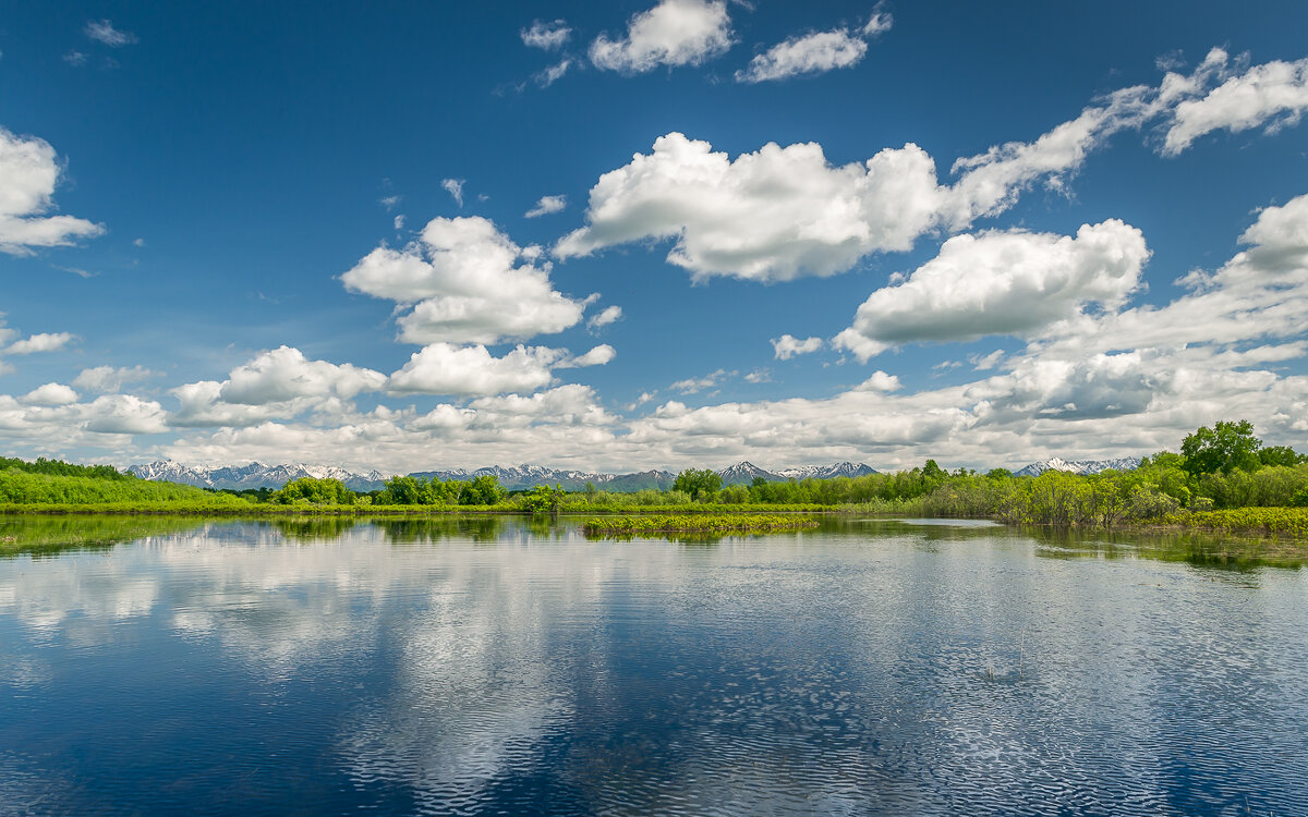 ... - Жора Житников ... - Жора Житников
