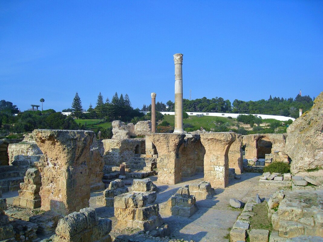 Развалины Карфагена. - unix (Илья Утропов) Развалины Карфагена. - unix (Илья Утропов)