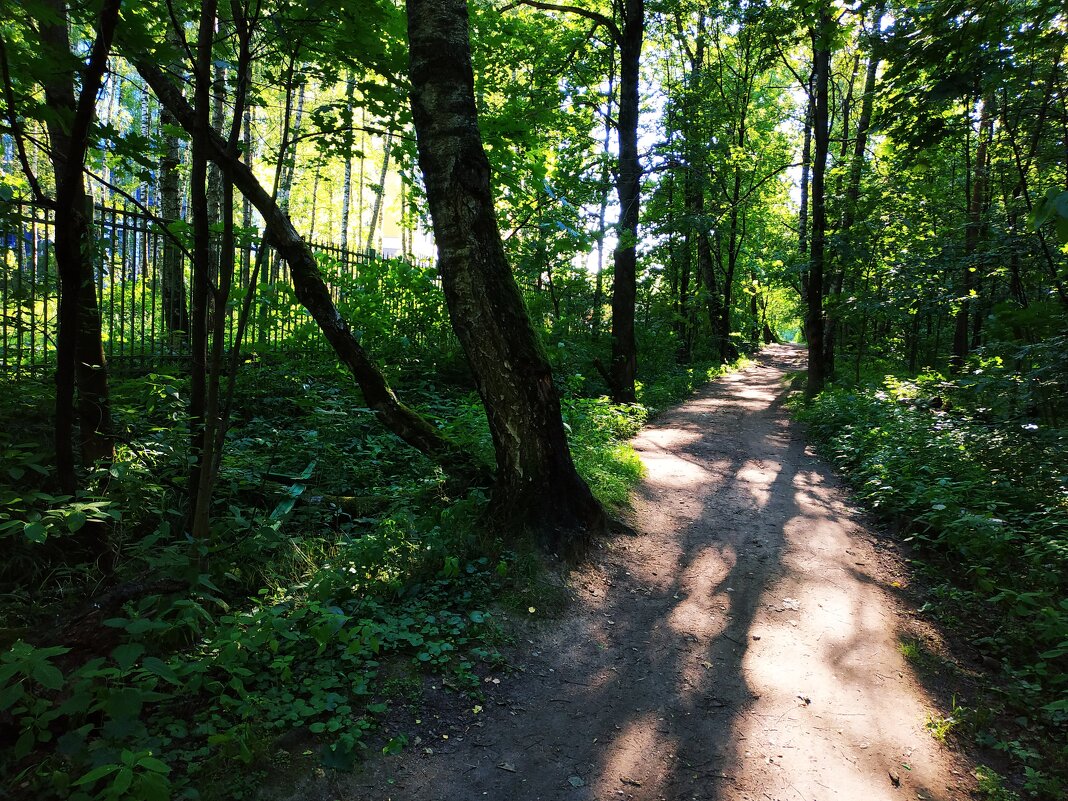 Жарко, конечно, но в парке всё же не +35 - Андрей Лукьянов Жарко, конечно, но в парке всё же не +35 - Андрей Лукьянов