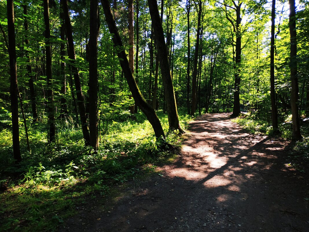 Жарко, конечно, но в парке всё же не +35 - Андрей Лукьянов