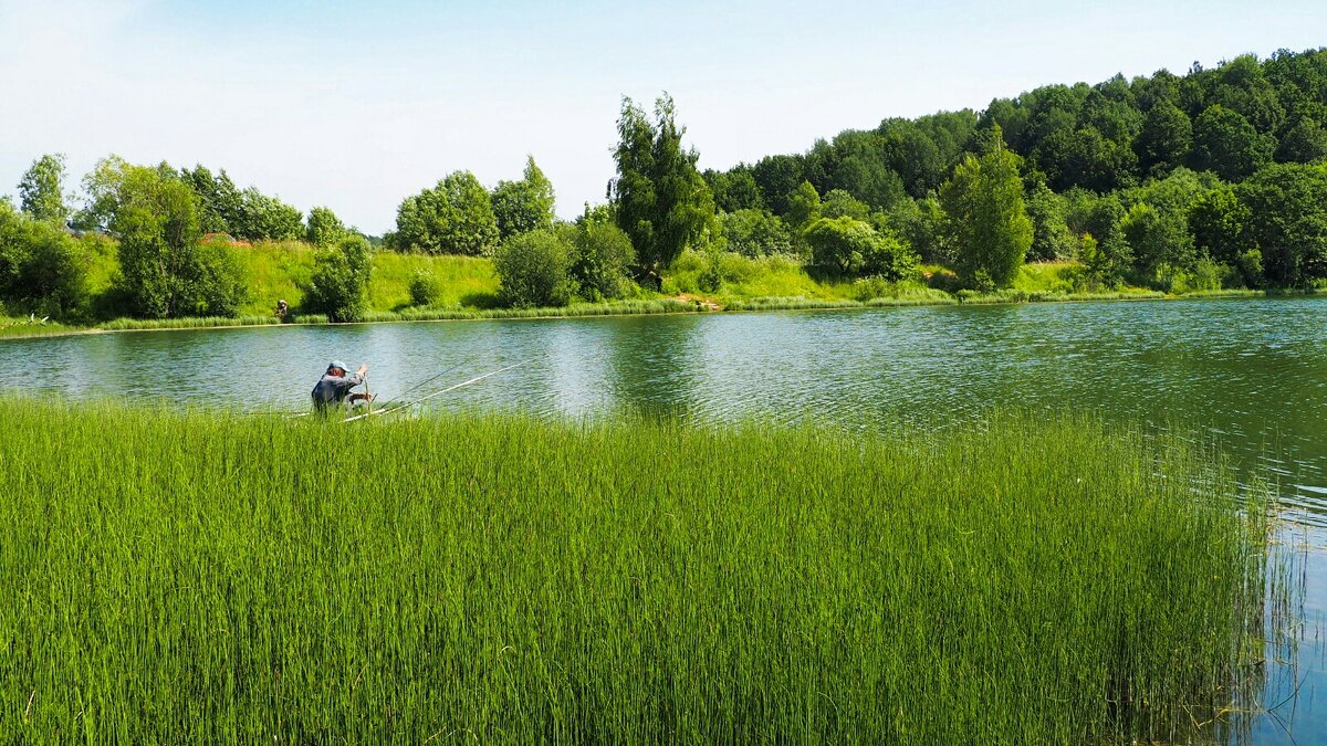 О любителях рыбной ловли (репортаж из поездок по области). - Милешкин Владимир Алексеевич 