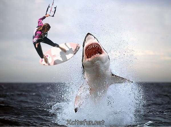 "Я вам дам последний кадр ! "(С) - Валерий Кокорев