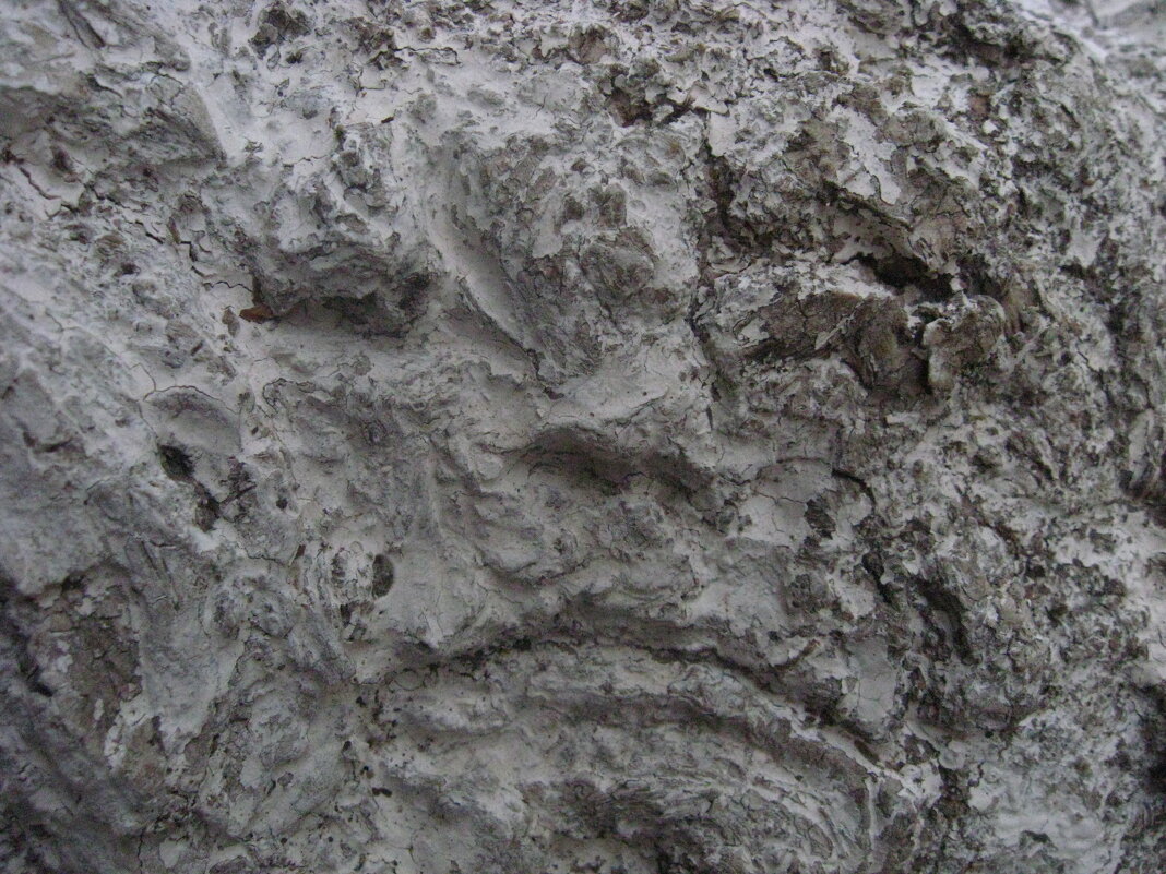 . - Александр Хоменко