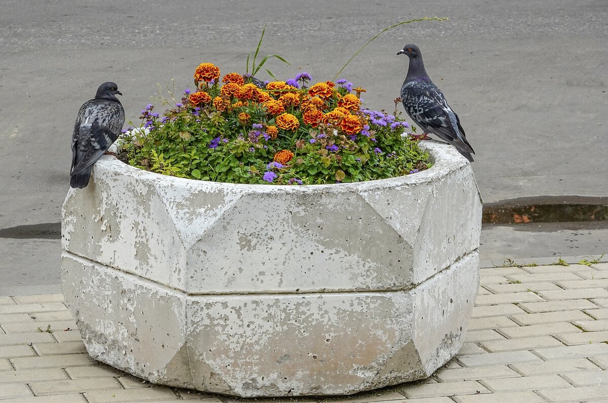 Свидание - Валерий Иванович Свидание - Валерий Иванович
