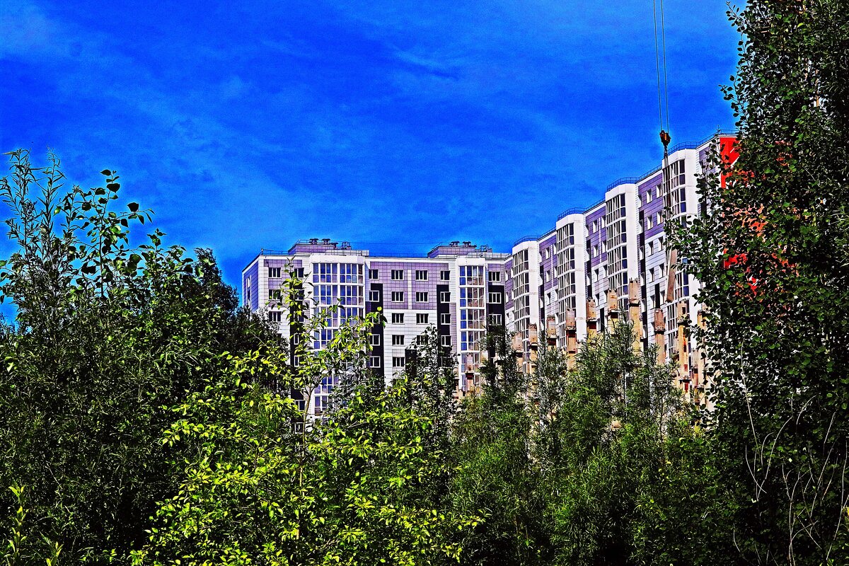 Июль...Зеленый уголок Нефтеюганска! - Владимир 