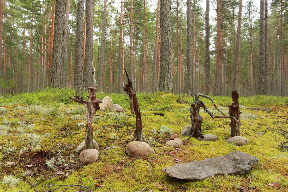 Идолы - Максим Егоров