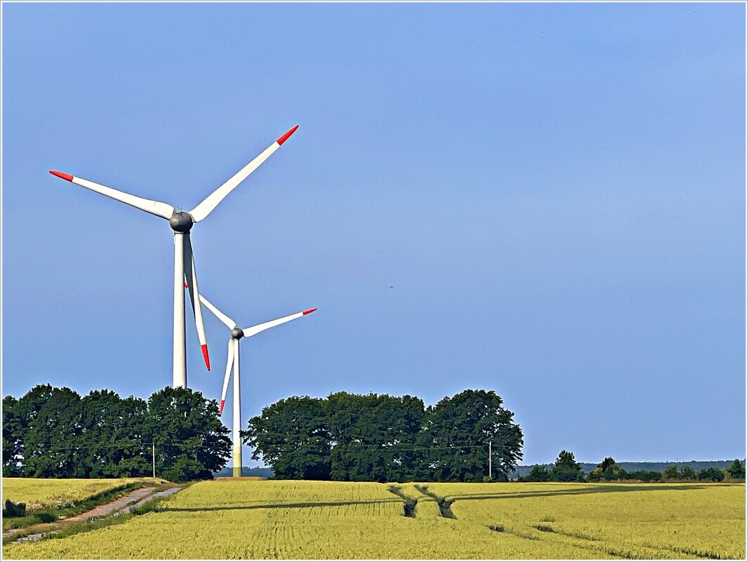 Пшеничное поле. - Валерия Комова Пшеничное поле. - Валерия Комова