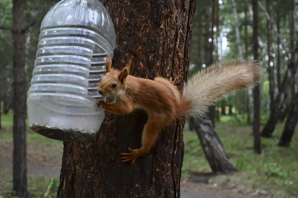 Моя  банка - Геннадий Супрун