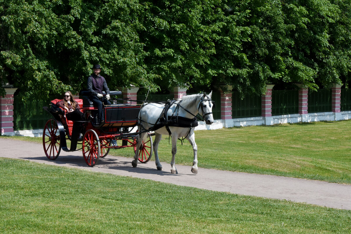 Москва. Усадьба Кусково. - Наташа ***** Москва. Усадьба Кусково. - Наташа *****