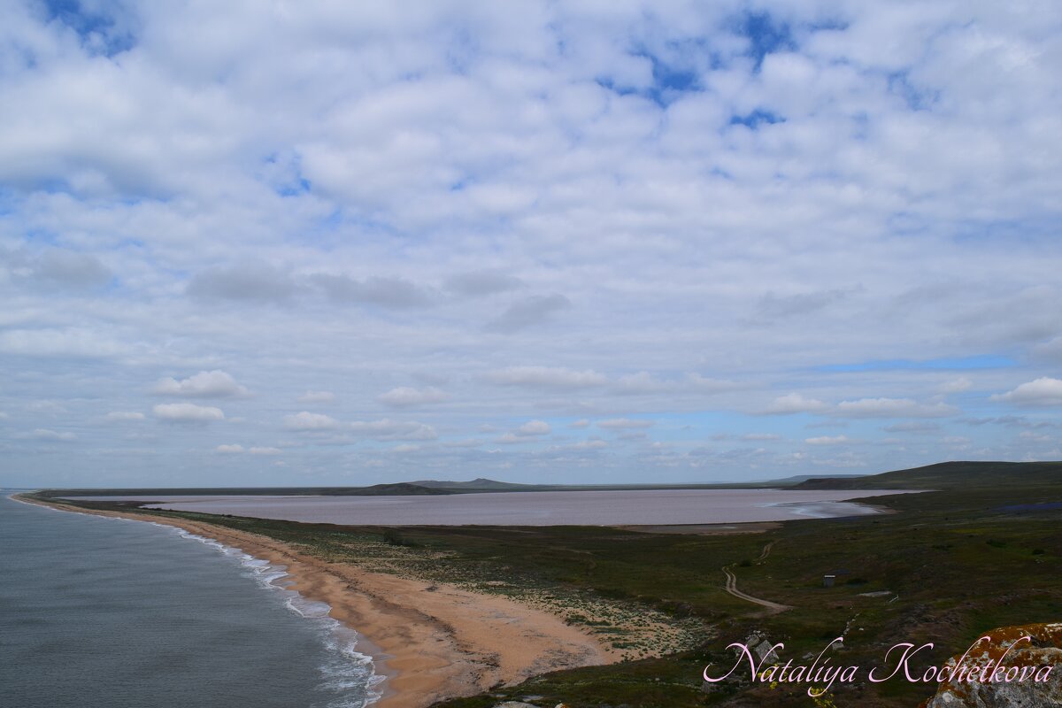 Природа Крыма - Amazing Cosmea