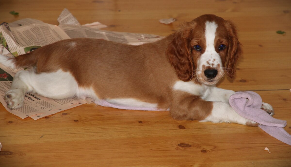 Газеты не прочитывались, газеты прописывались.. - liudmila drake