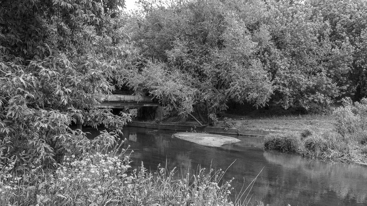 ***** - юрий поляков