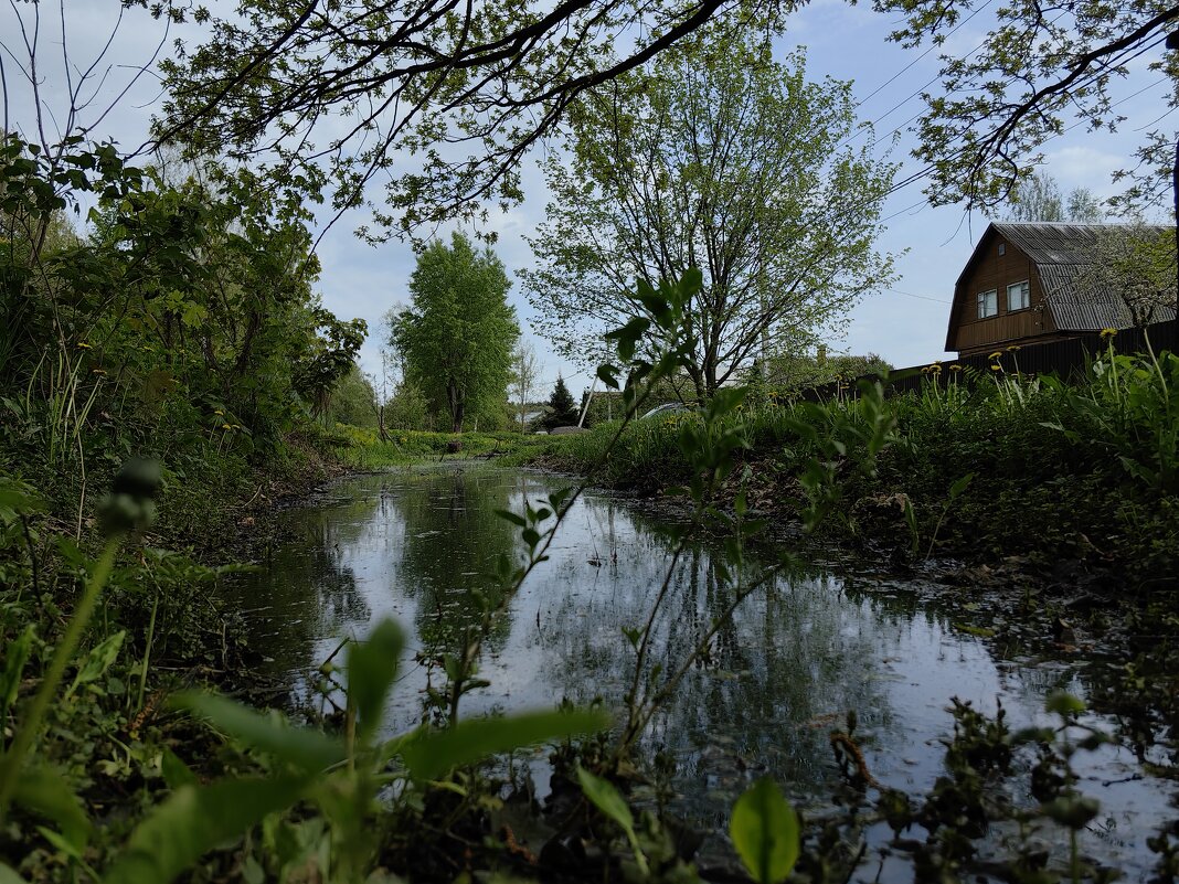 Май в деревне - Светлана 13.06.