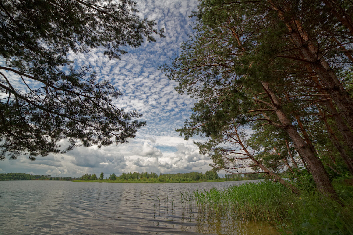 *** - Сергей Серый