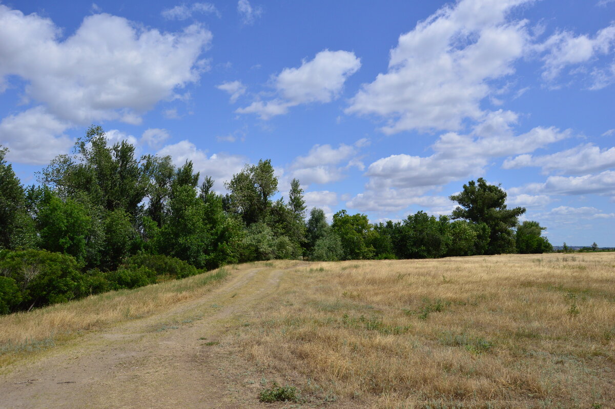 Мои дороги. - Виктор 
