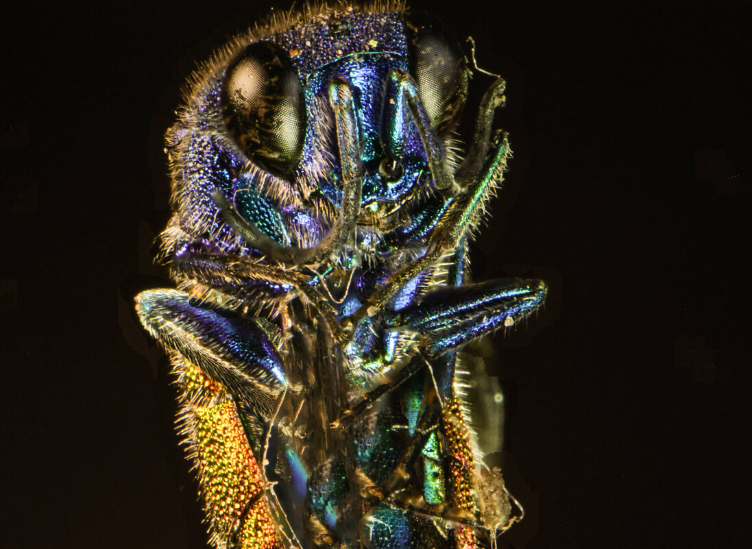 макра - Александр Есликов