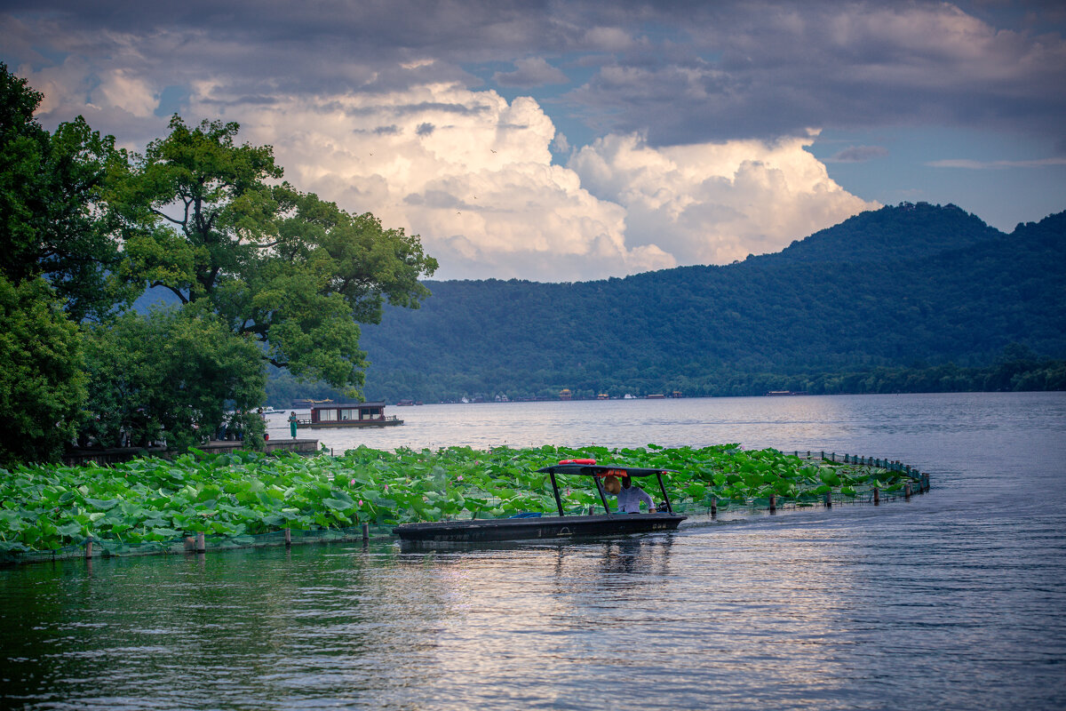 Озеро Сиху в Ханчжоу - Дмитрий Озеро Сиху в Ханчжоу - Дмитрий