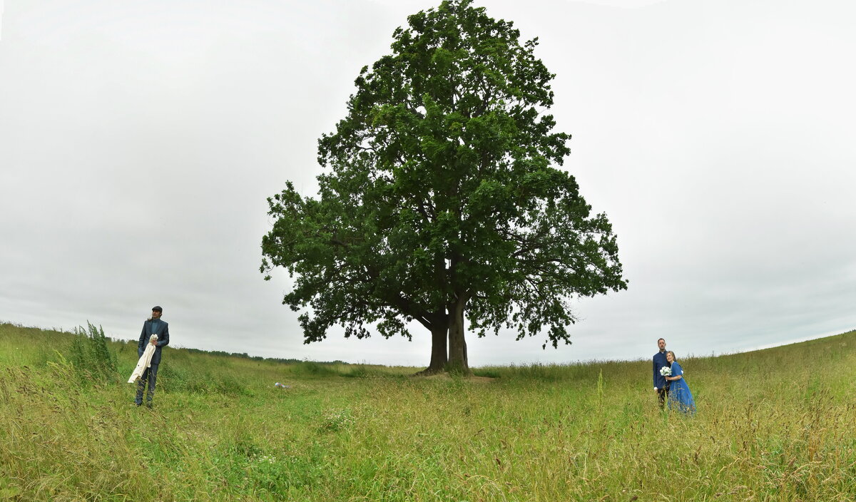 без названия. - Харис Шахмаметьев