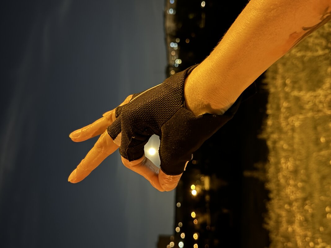 Хищные птицы - Анна Камс