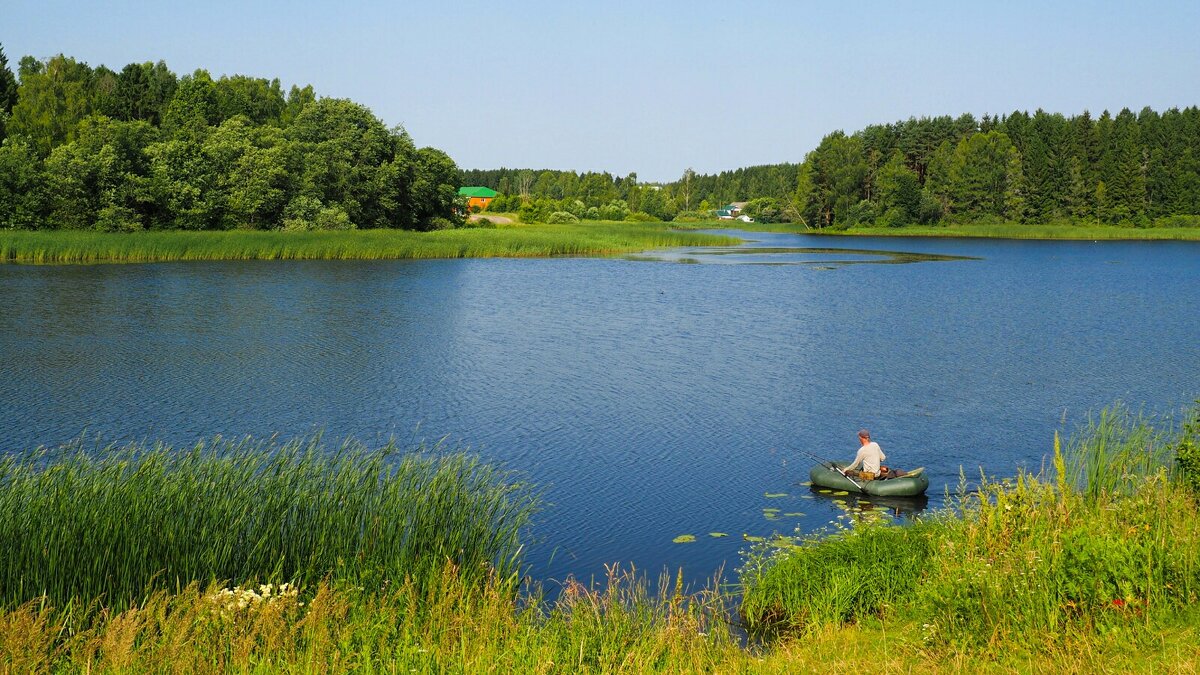 Летний пейзаж с озером и рыбаком. - Милешкин Владимир Алексеевич 