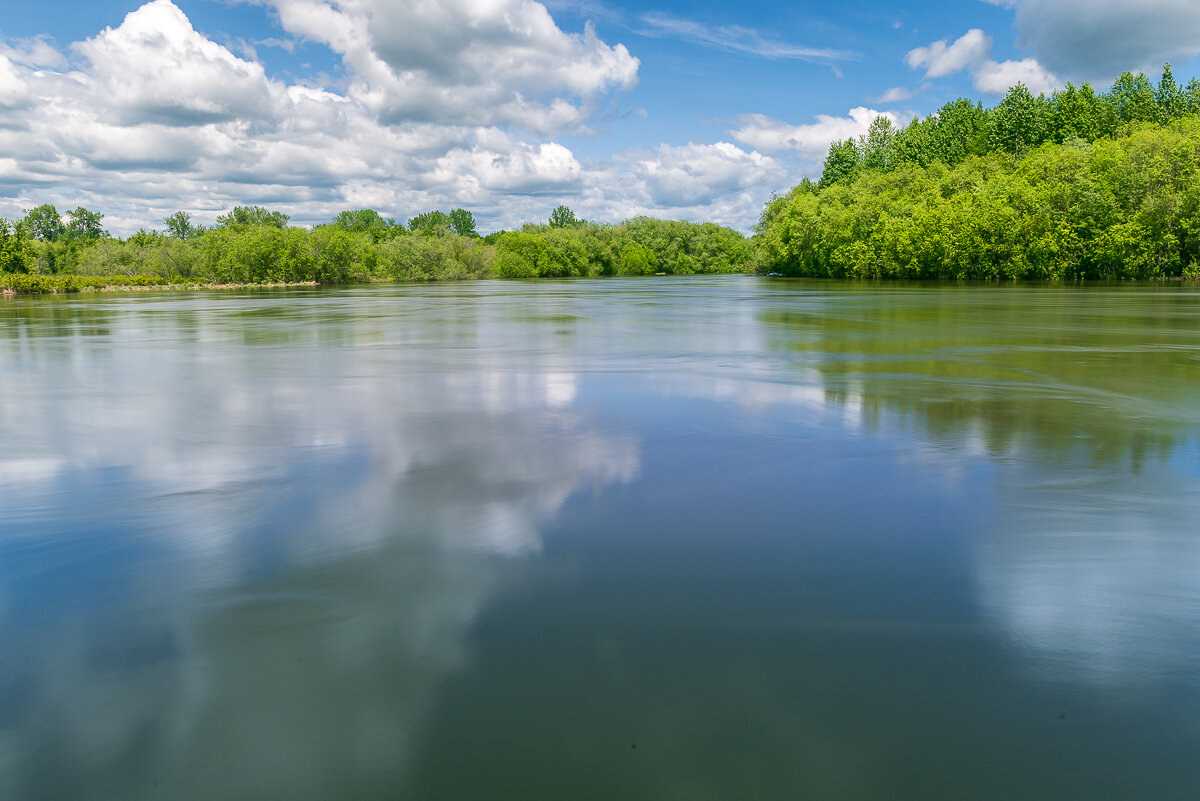... - Жора Житников ... - Жора Житников