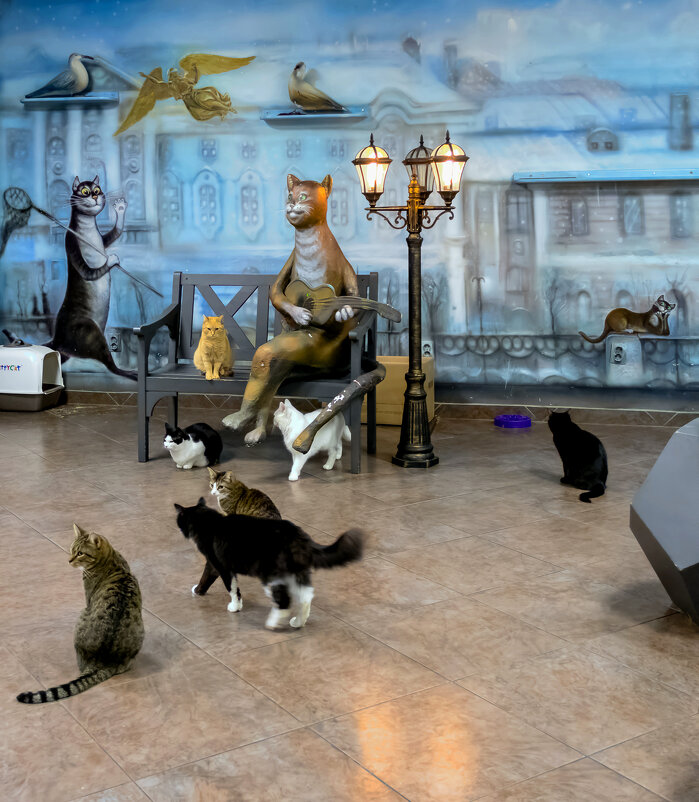 Кошкин дом. - Игорь Викторов