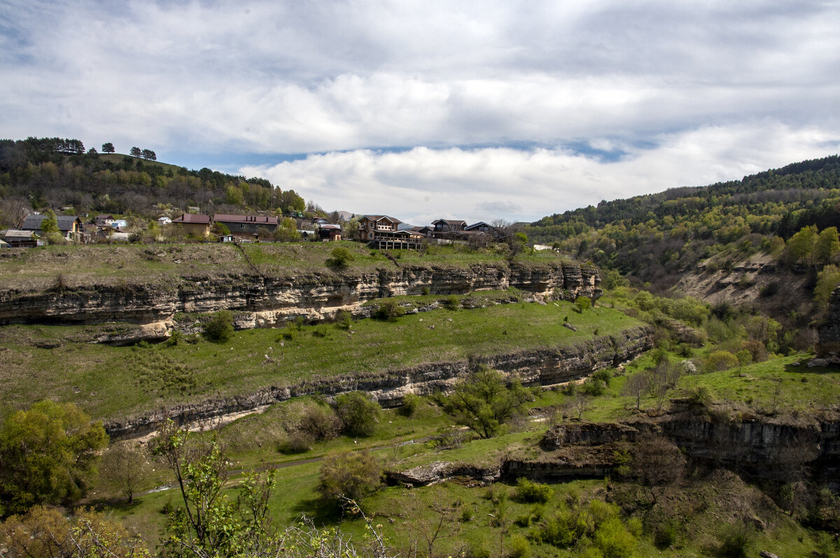 Берёзовая балка - Gen 