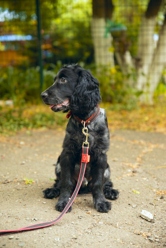Джек - Вячеслав Дроздов Джек - Вячеслав Дроздов