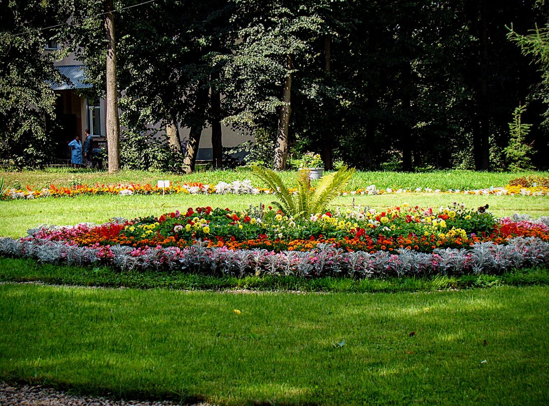 Солнечная лужайка,,, - Анатолий Колосов