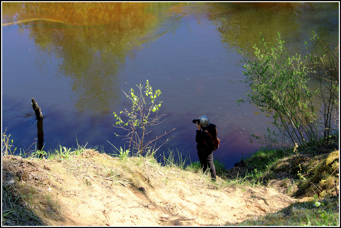 С Днем Фотографа - Aleksandr Gal С Днем Фотографа - Aleksandr Gal