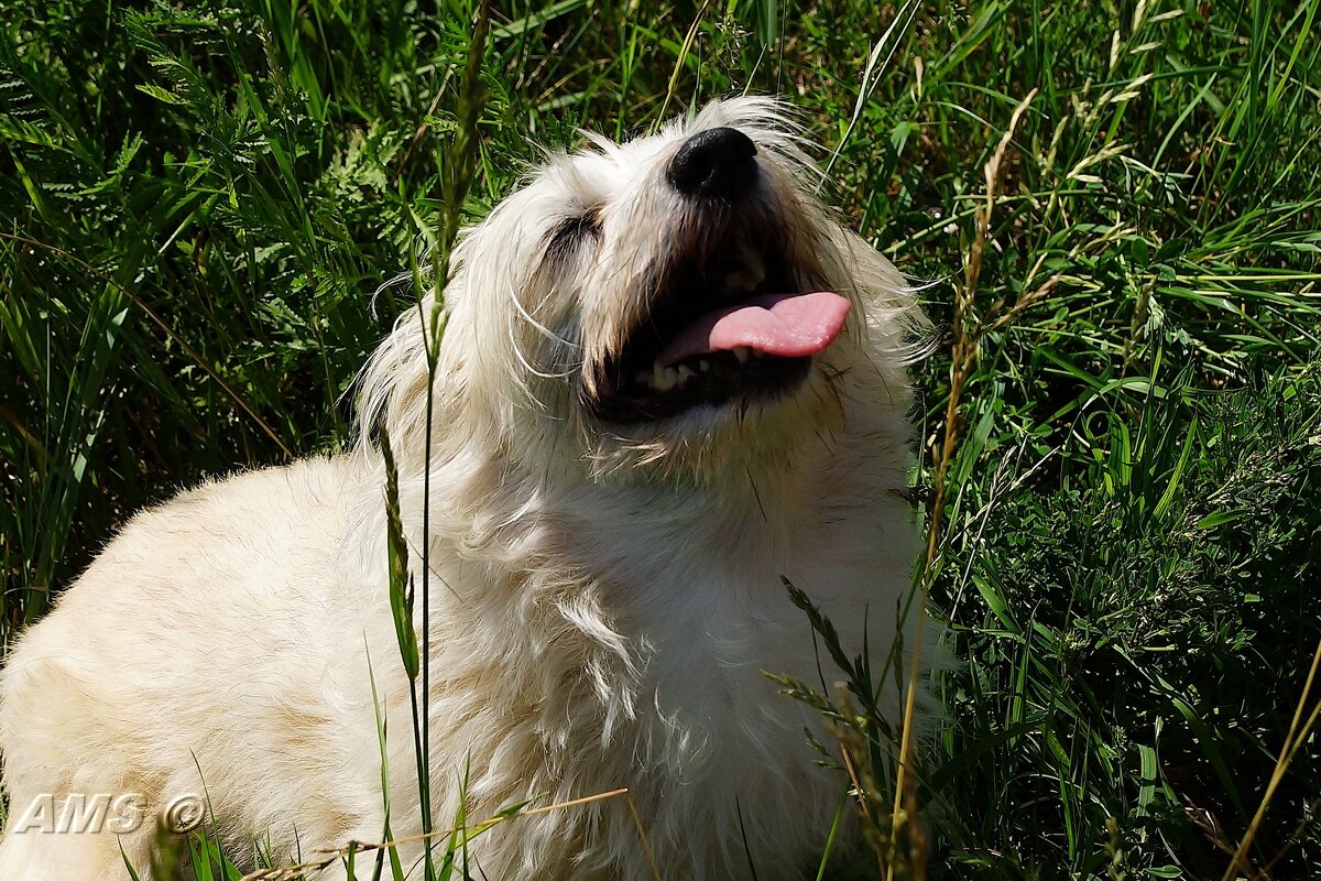 Ой !!! - kolyeretka 