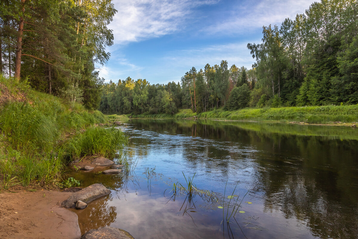 **** - Елизавета .