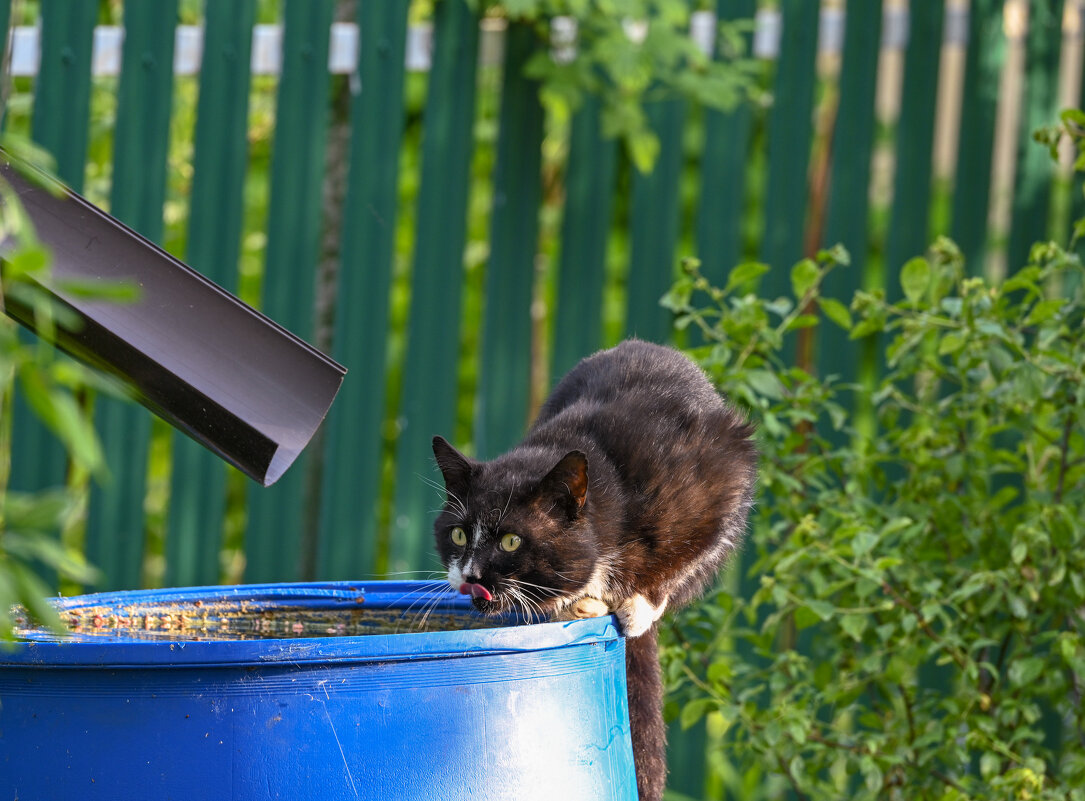 * - Вадим * - Вадим