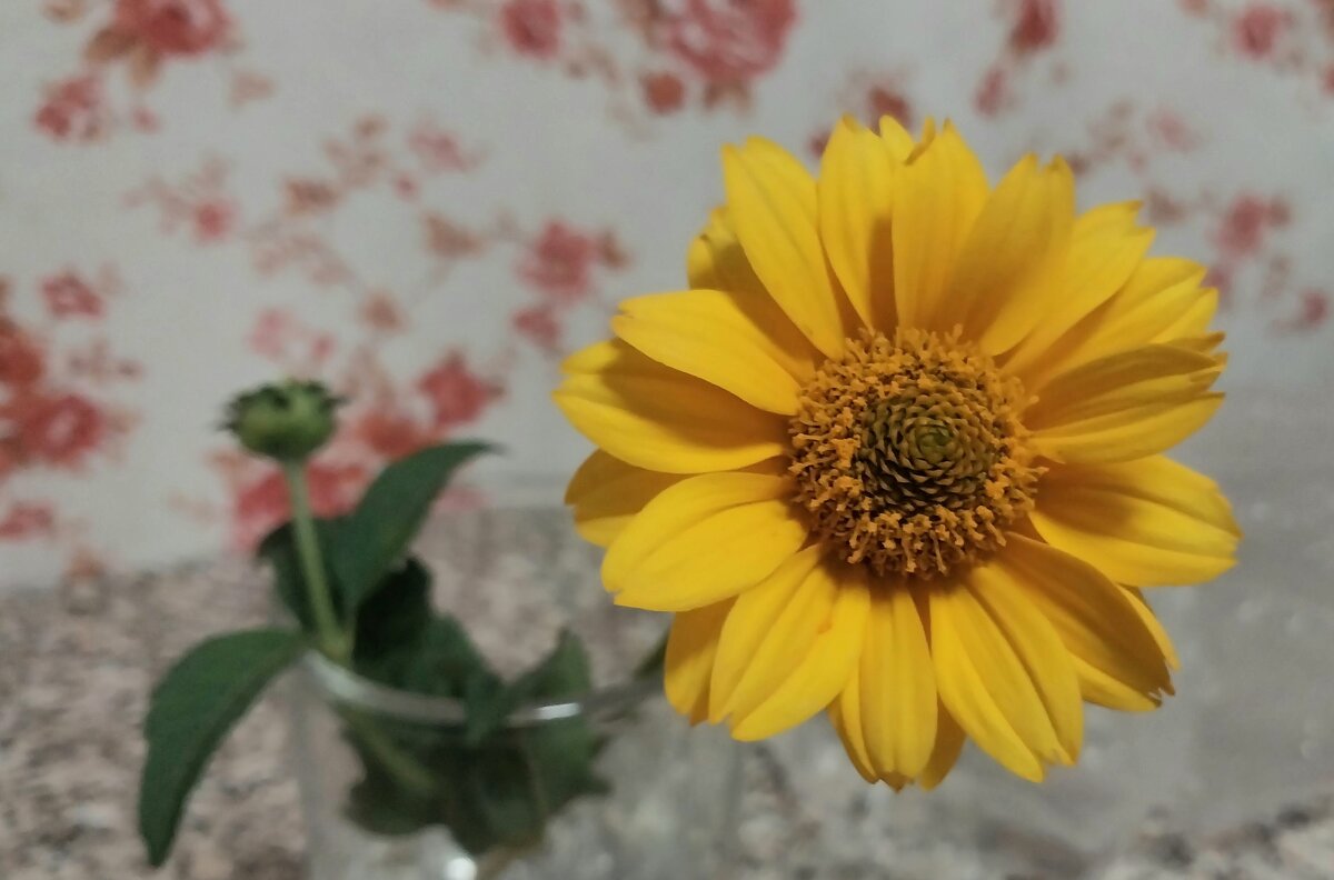 Talgar. - Murat Bukaev Talgar. - Murat Bukaev