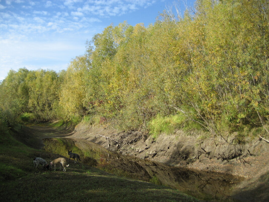 Осень - Anna Ivanova