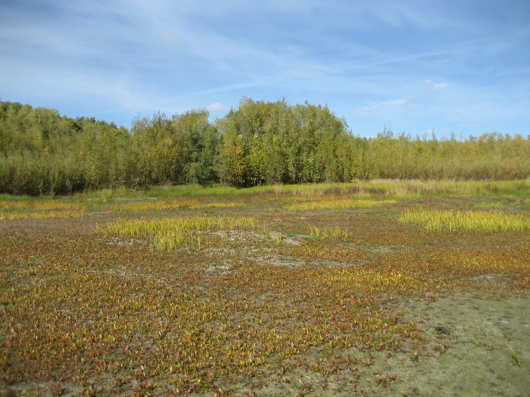 Осень - Anna Ivanova Осень - Anna Ivanova