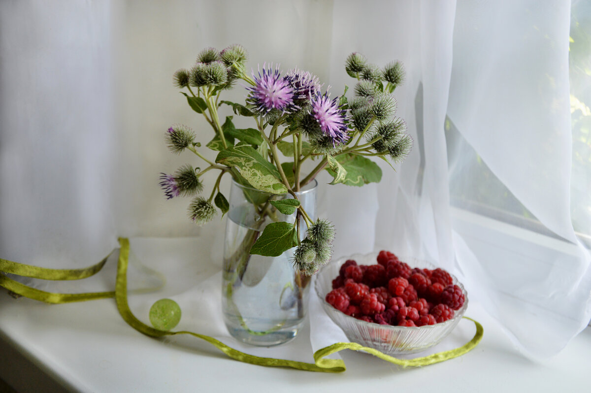 *** - Надежда Куркина 