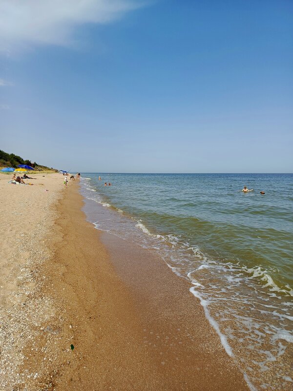С днем фотографа, друзья! - Татьяна Пальчикова
