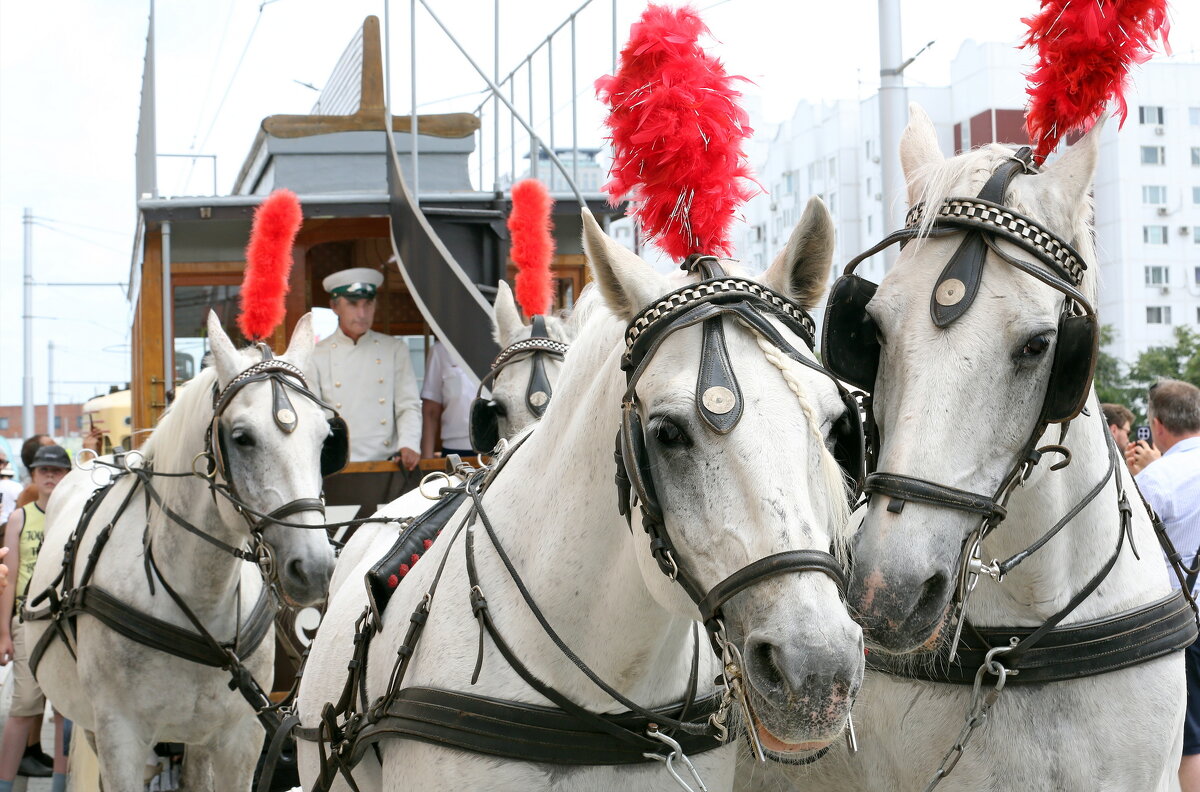 Парад исторических трамваев на пл Ильича 12 июля - Михаил Бибичков Парад исторических трамваев на пл Ильича 12 июля - Михаил Бибичков