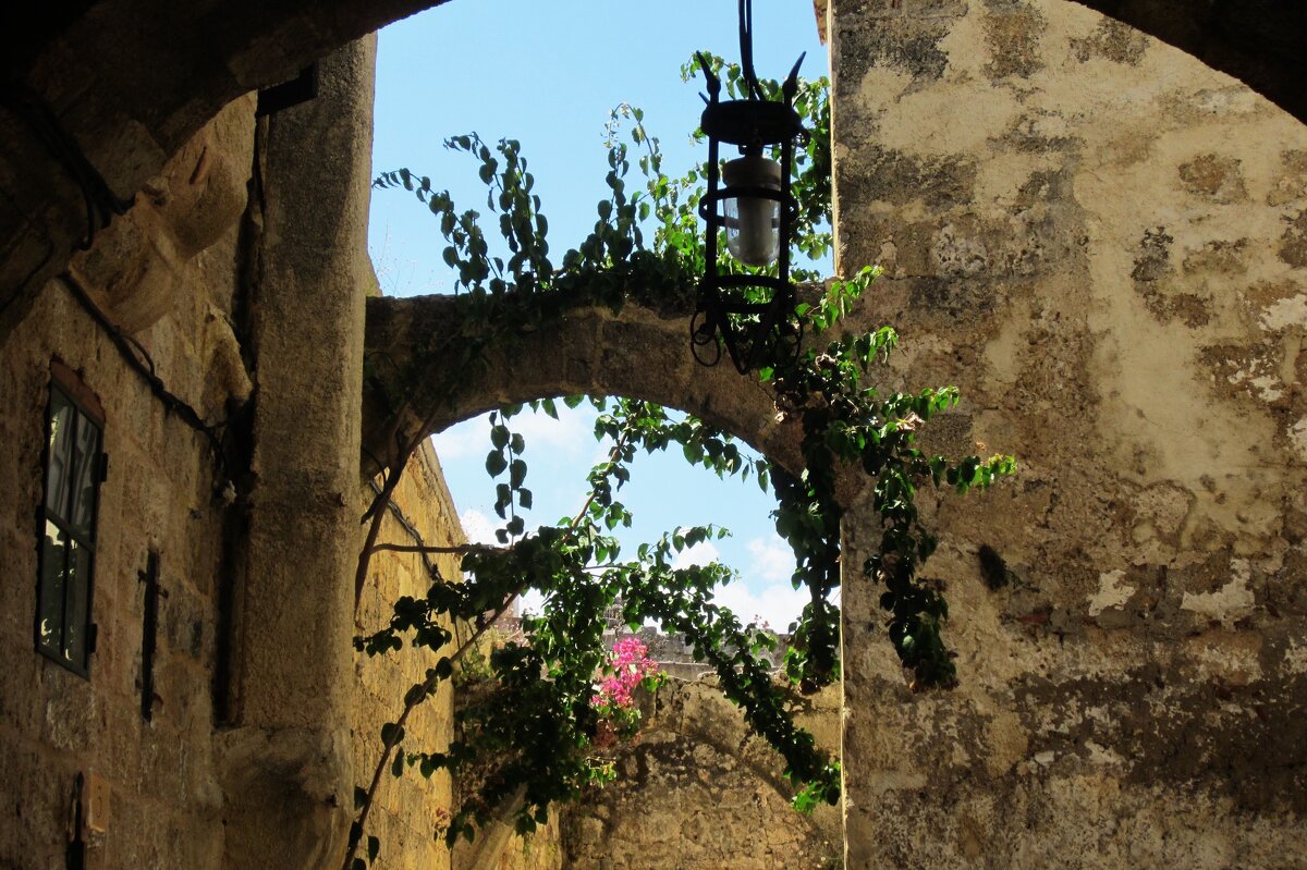 Просто цветы - Натали 