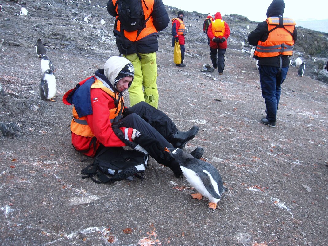 - Чего сидим! Принёс чего-нибудь вкусненького? - unix (Илья Утропов) - Чего сидим! Принёс чего-нибудь вкусненького? - unix (Илья Утропов)