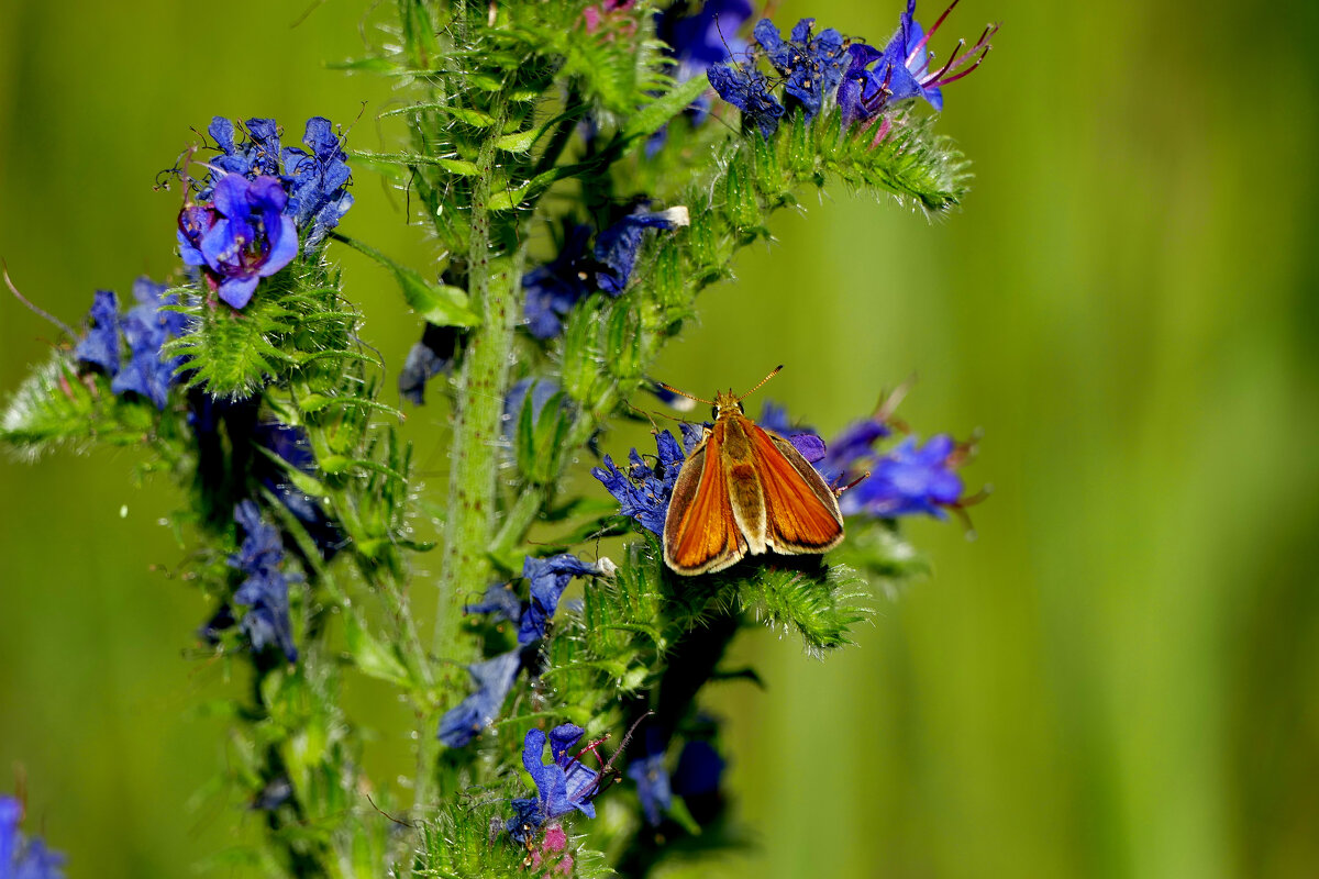 из снятого вчера 3 - Александр Прокудин из снятого вчера 3 - Александр Прокудин