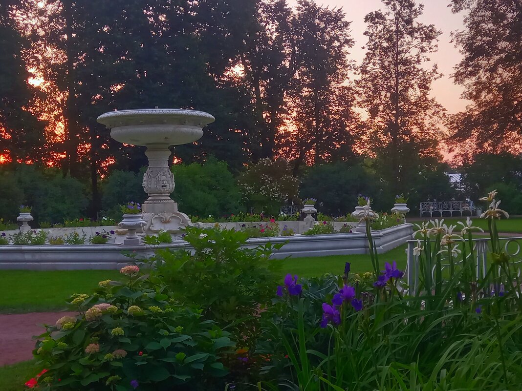 Фонтан - Сапсан 