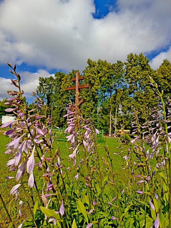 На дальней станции сойду. - Vladimir Semenchukov