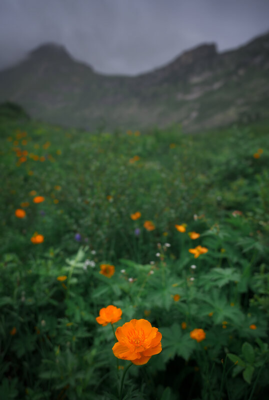 * - Александр Иванов